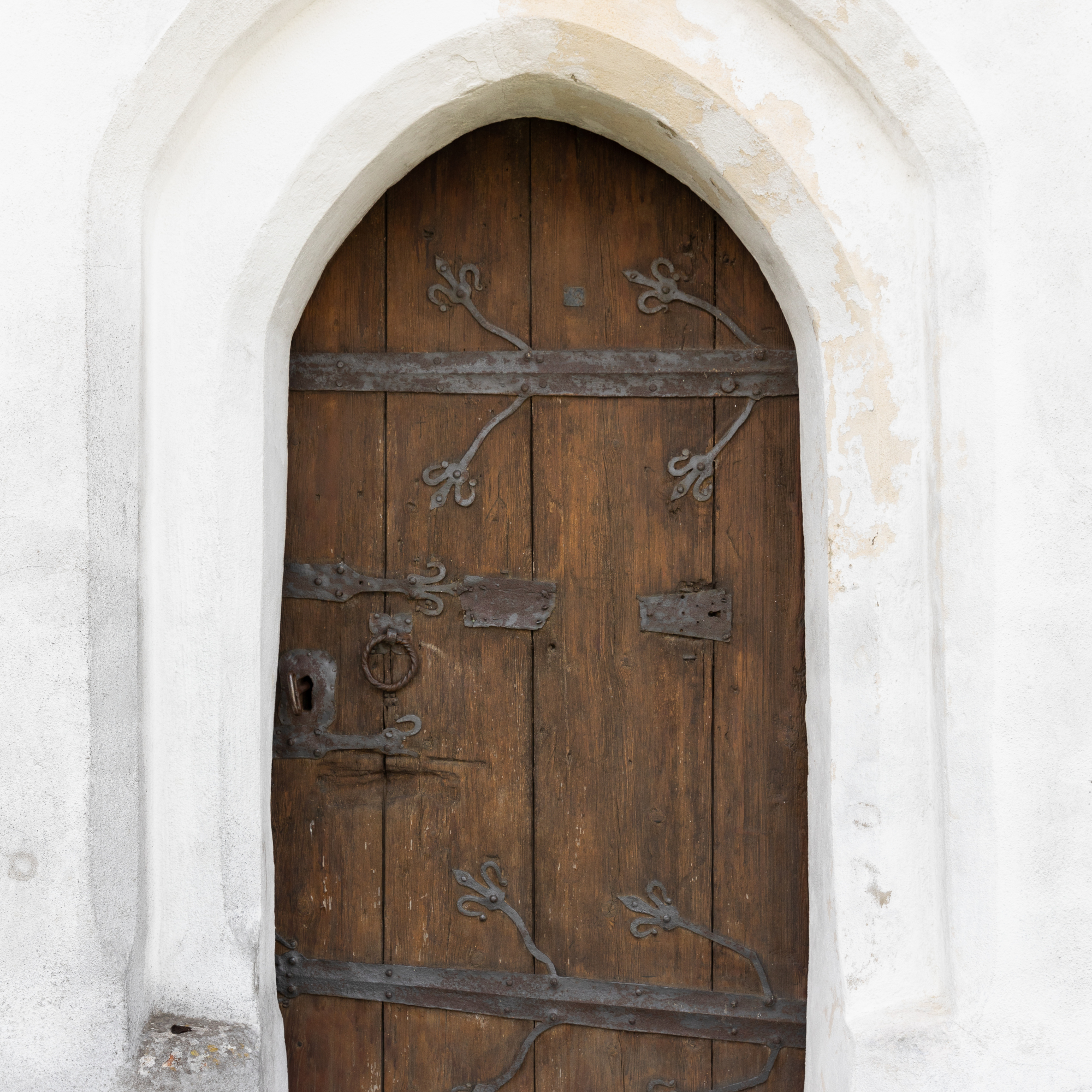 Moosvogel bei Massing