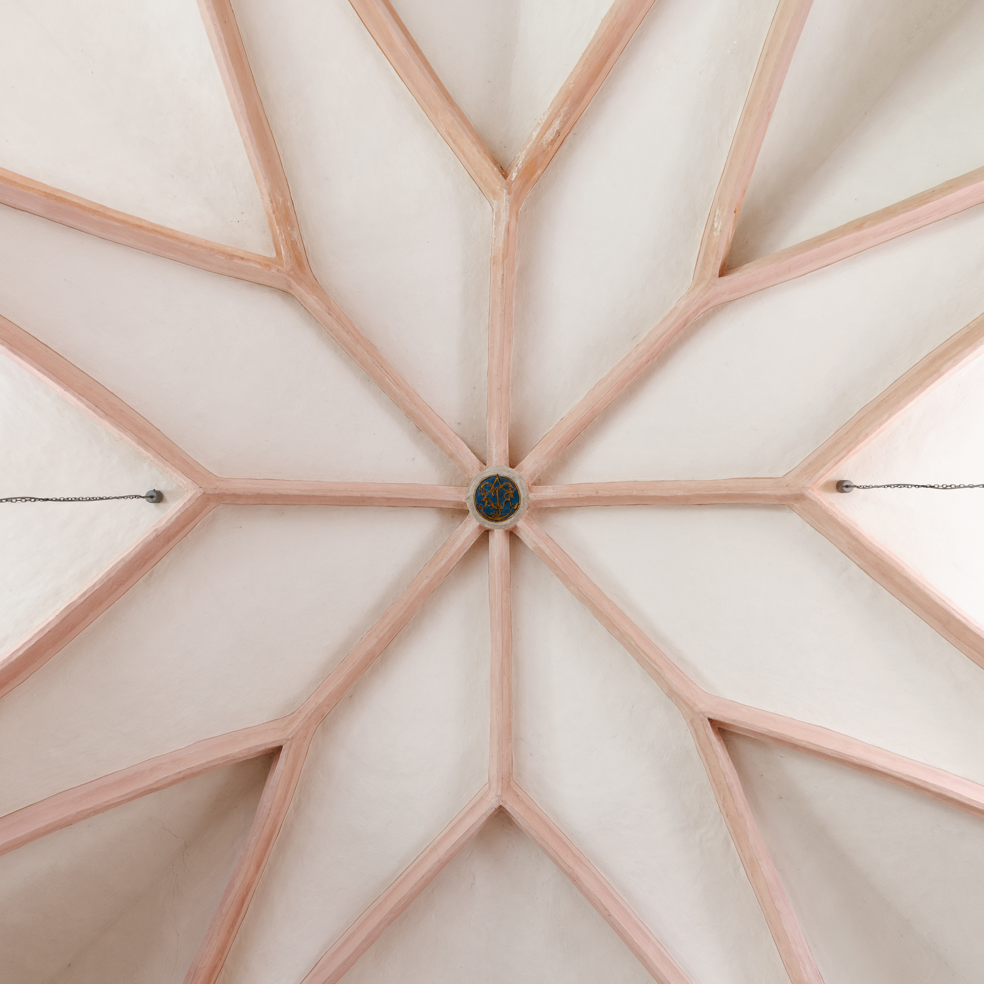 Moosvogel bei Massing